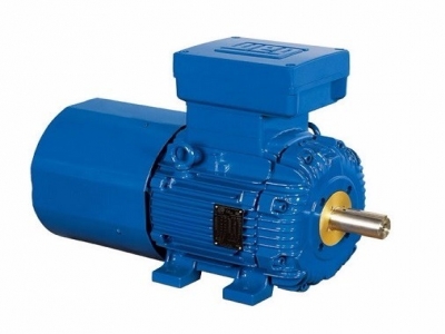 WEG萬(wàn)高-Exd Breake 制動(dòng)防爆電機(jī)