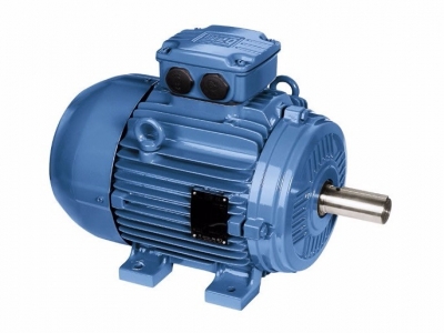 WEG萬(wàn)高-Zone 21 粉塵防爆電機(jī)