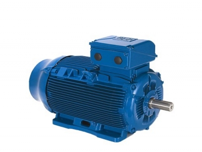 WEG萬(wàn)高-W22電機(jī)